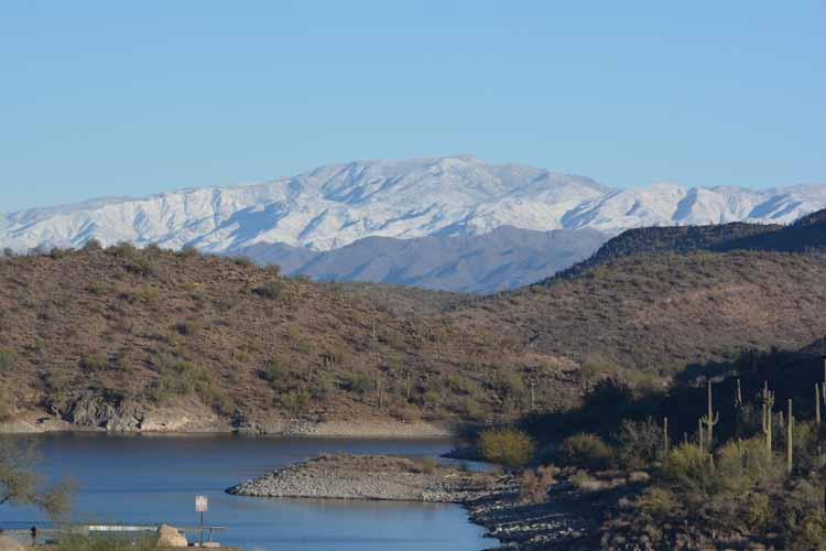 snow-capped bradshaws
